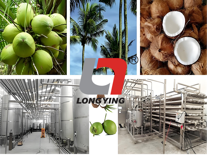 (鮮榨/濃縮)椰子汁生產(chǎn)線