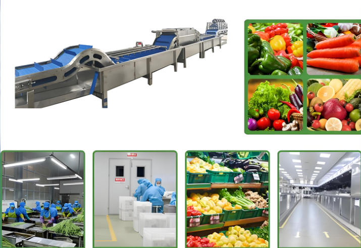 蔬菜沙拉生產(chǎn)線